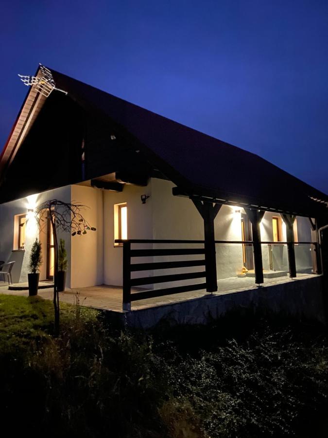 Malinowa Osada Villa Wisla Exterior photo